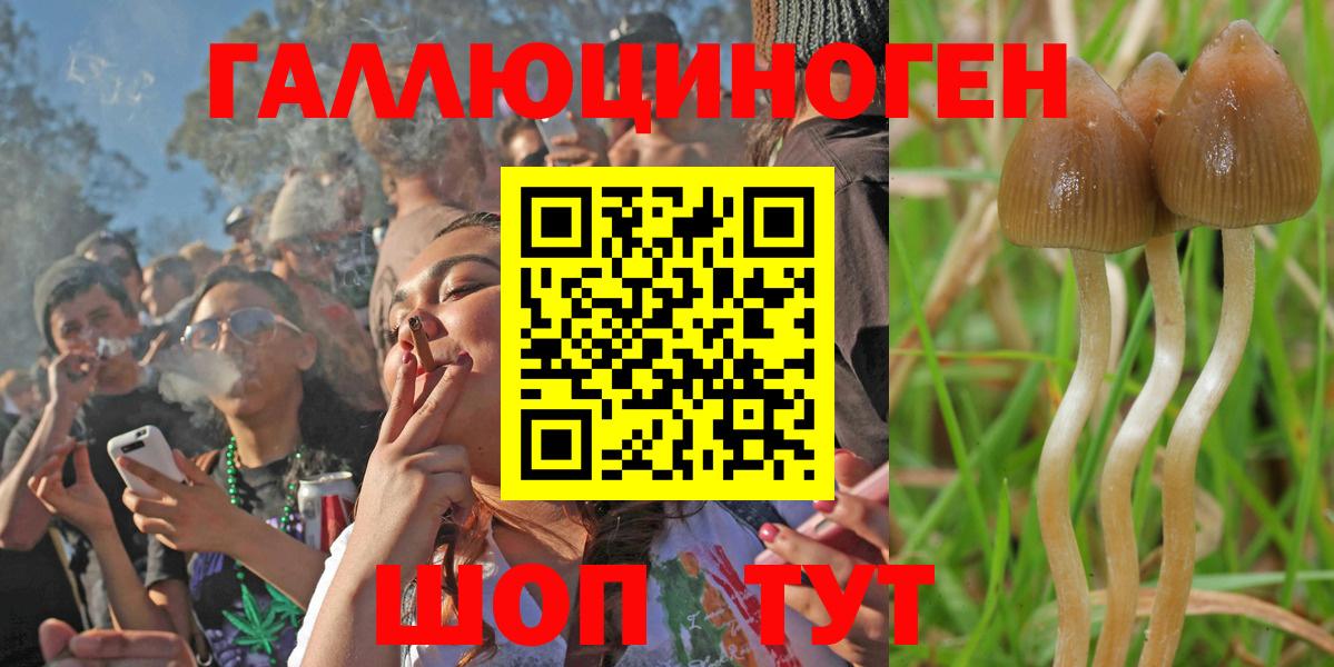 как найти наркотики  Вход с VPN  Каспийск  Галлюциногенные грибы Psilocybe  Галлюциногенные грибы ЛСД 